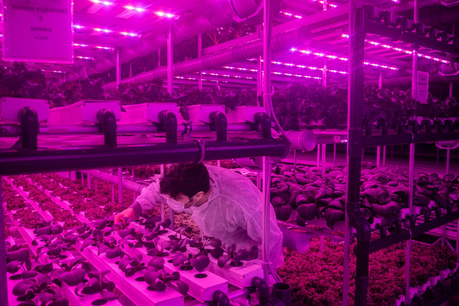 An employee at Plant Factory checks the growth of greens cultivated in a vertical farming system in Istanbul on Wednesday, May 8. Plant Factory is Turkey's first commercial vertical farm. <a href="index.php?page=&url=https%3A%2F%2Fwww.cnn.com%2F2023%2F03%2F24%2Fworld%2Fmars-food-interstellar-lab-climate-scn-spc-intl%2Findex.html" target="_blank">Vertical farming</a> is a method of growing crops without soil in a controlled environment, delivering nutrient-rich water straight to a plant's roots. It can use significantly less water and fertilizer than traditional outdoor agriculture, and by continuously recirculating water, it creates very little waste.