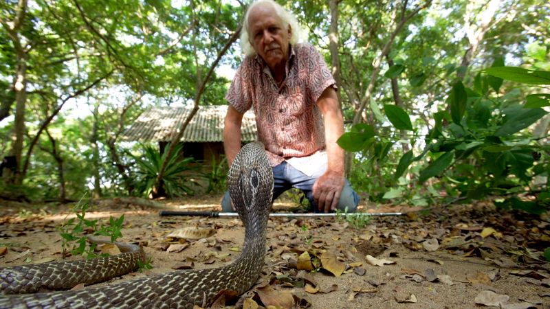 Reptiles and rainforests: the legacy of herpetologist Romulus Whitaker | CNN