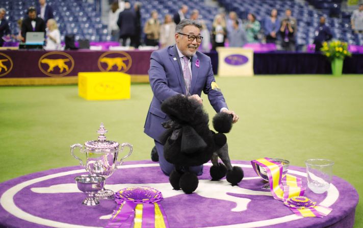 Miniature Poodle, Sage, wins the Best in Show group during the Annual Westminster Kennel Club Dog Show on Tuesday, May 14.