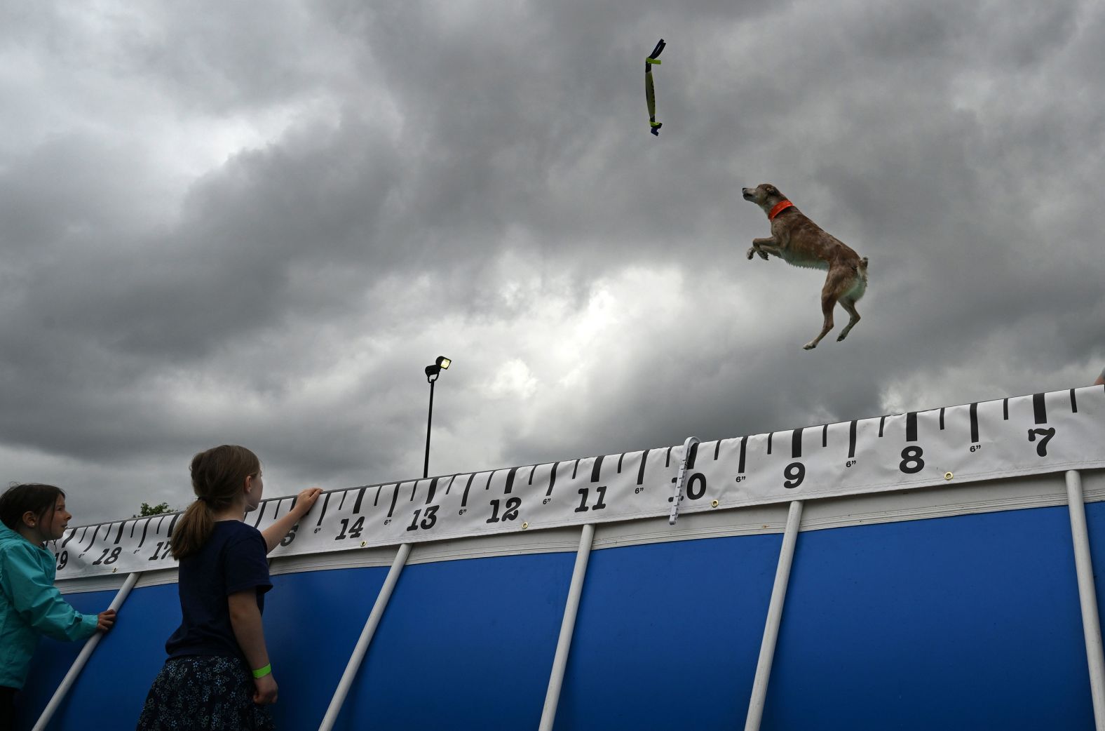 Children watch a dog soar through the air and into a pool during a demonstration at Dominion Energy Riverrock, a festival in Richmond, Virginia, on Sunday, May 19.