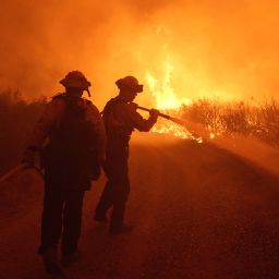Firefighters work against the advancing Post Fire on Sunday, June 16, 2024, in Gorman, Calif. (AP Photo/Eric Thayer)