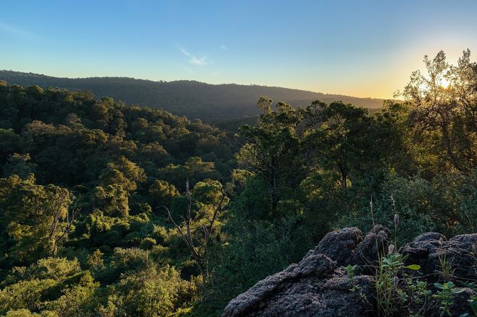 However, as the Maasai's culture and lifestyles change due to outside influences and the privatization of land, conservationists fear that this may change and the forest will be under threat as a result.