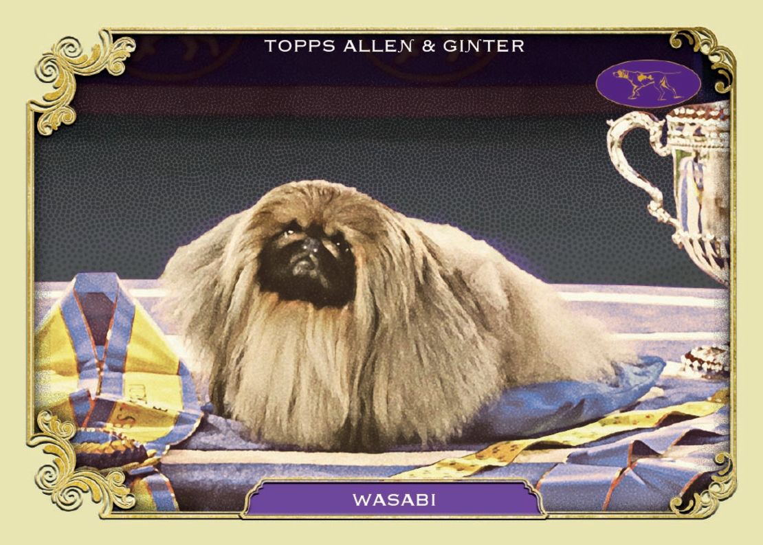 A card featuring the Wasabi (officially known as GCHG CH Pequest Wasabi) Pekingese, 2021 