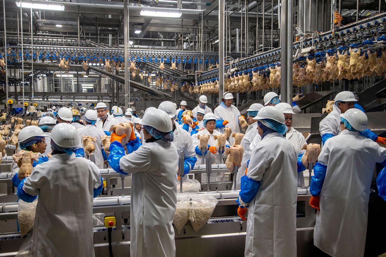 Workers process around 200,000 chickens a day for Costco at the Lincoln Premium Poultry plant in Fremont, Nebraska on February 27.