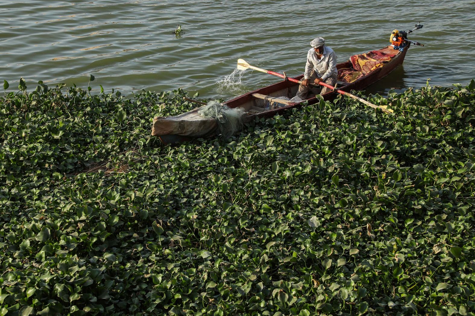 A fisherman sits in his boat near swathes of water hyacinth, a water-consuming invasive bloom, in Nasiriyah, Iraq, on Tuesday, September 9. Iraq's Euphrates River is running at historically low levels as the drought-stricken country faces its worst water scarcity in living memory.