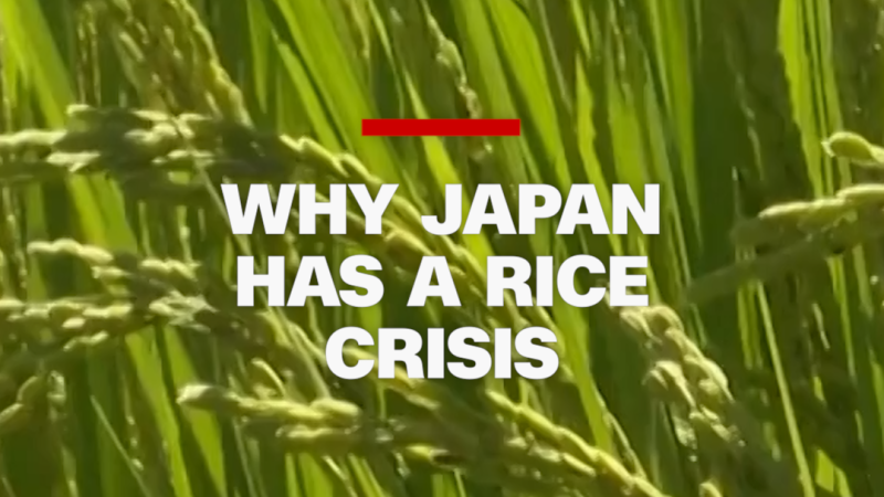 Japan Faces Rice Shortage as Private Imports Surge Amid Price Spike