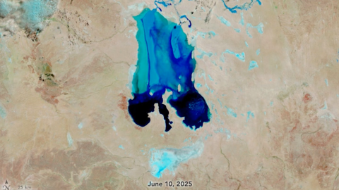 250624_hztl_Lake Eyre_thumb_clean_2.png