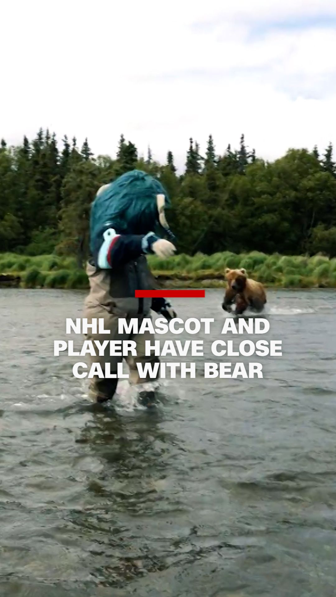 250805_MascotBear_Vertical_1.00_00_11_01.Still001.jpg