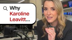 White House Press Secretary Karoline Leavitt is making headlines of her own after her nephew's mother was arrested by ICE earlier this month. CNN's Betsy Klein explains Bruna Caroline Ferreira's connection to Leavitt.