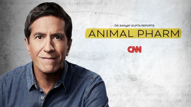 2566604_CNN_AnimalPharm_2025_2432x1369_CNNgo.jpg