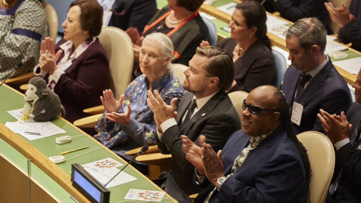 Goodall joins actor Leonardo DiCaprio and musician Stevie Wonder at the UN headquarters in New York on the International Day of Peace in 2016. Goodall had been designated a United Nations Messenger of Peace in 2011.