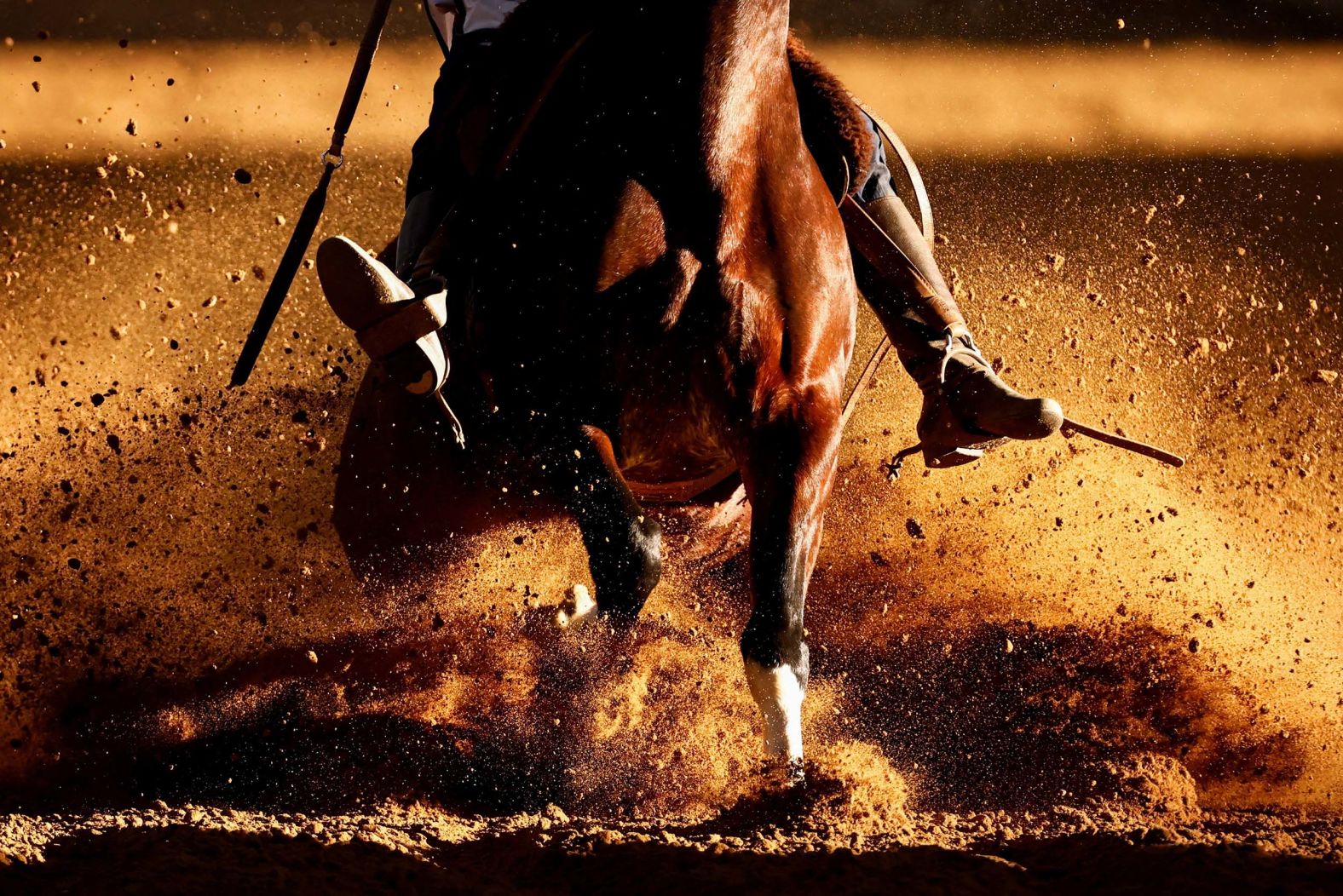 A participant rides a Criollo horse in Esteio, Brazil, as he competes in the Freio de Ouro, Brazil's main competition for handling Criollo horses, on Saturday, September 6.