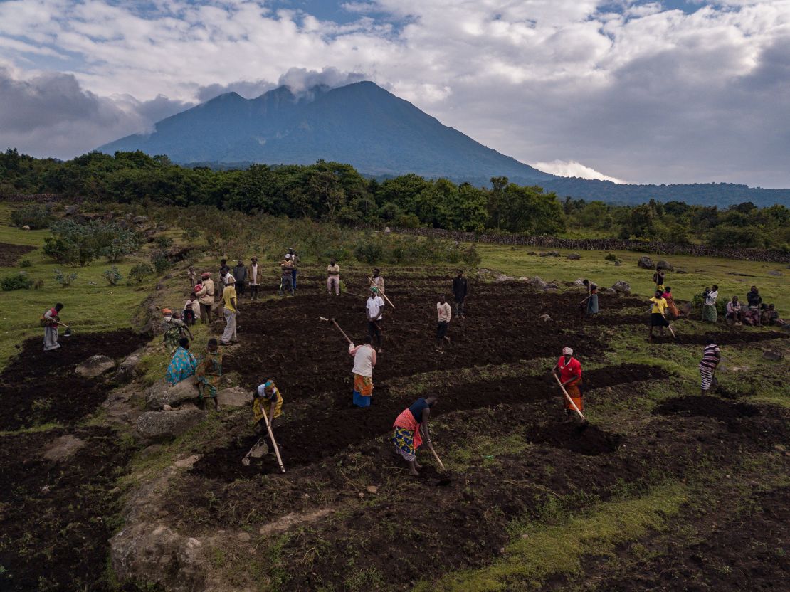 While its travel offerings are expensive, Volcanoes Safaris says it puts money back into sustaining communities.