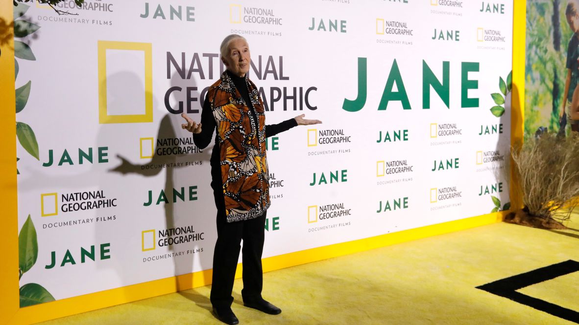 Goodall poses at the premiere for the documentary "Jane" in 2017. The film was about her early work with chimpanzees.