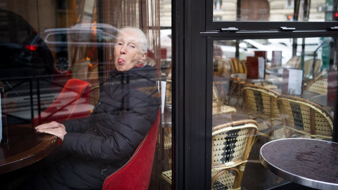Goodall sticks her tongue out at a photographer while visiting a cafe in Paris in 2018.
