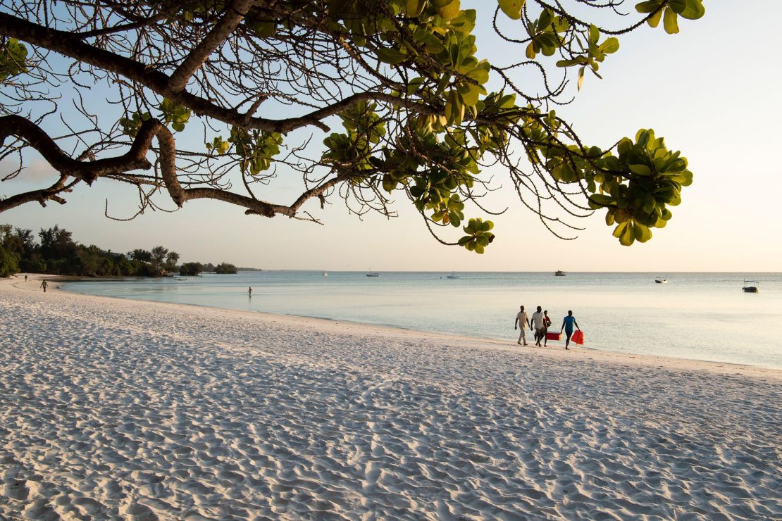 Pemba offers palm-shaded beaches and out-of-this-world diving.