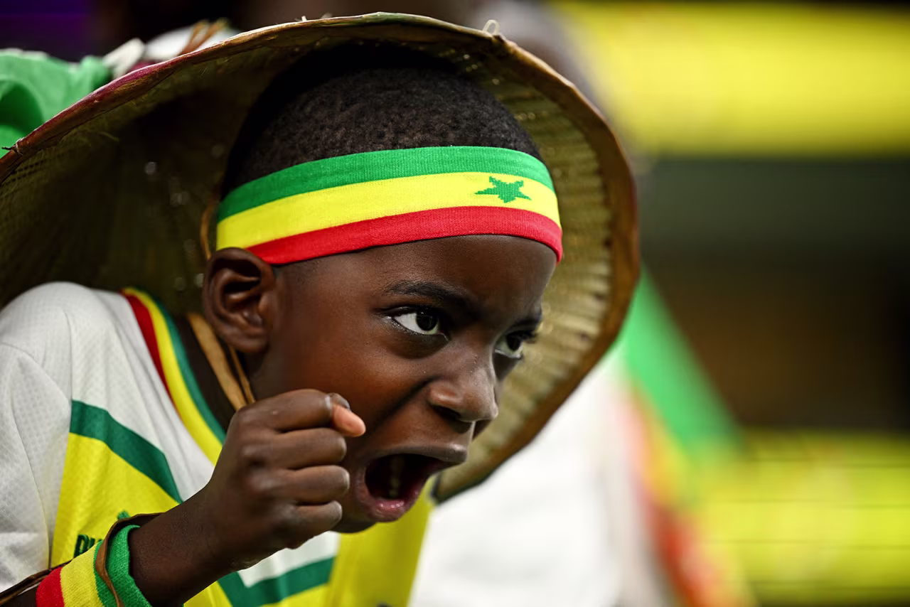 A Senegal fan cheers in the stands before the match on November 21.