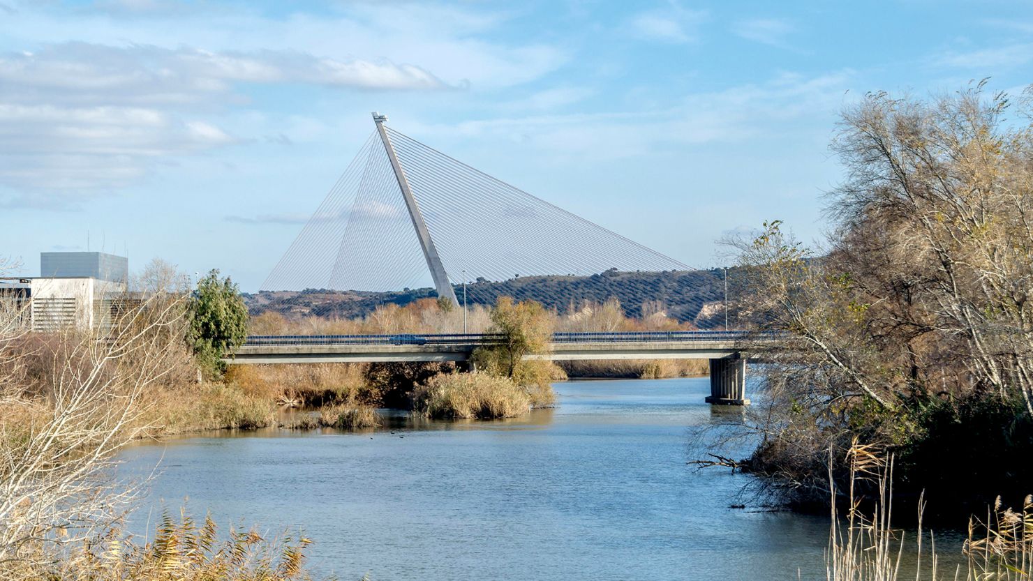 The Castilla-La Mancha bridge is the tallest in Spain.