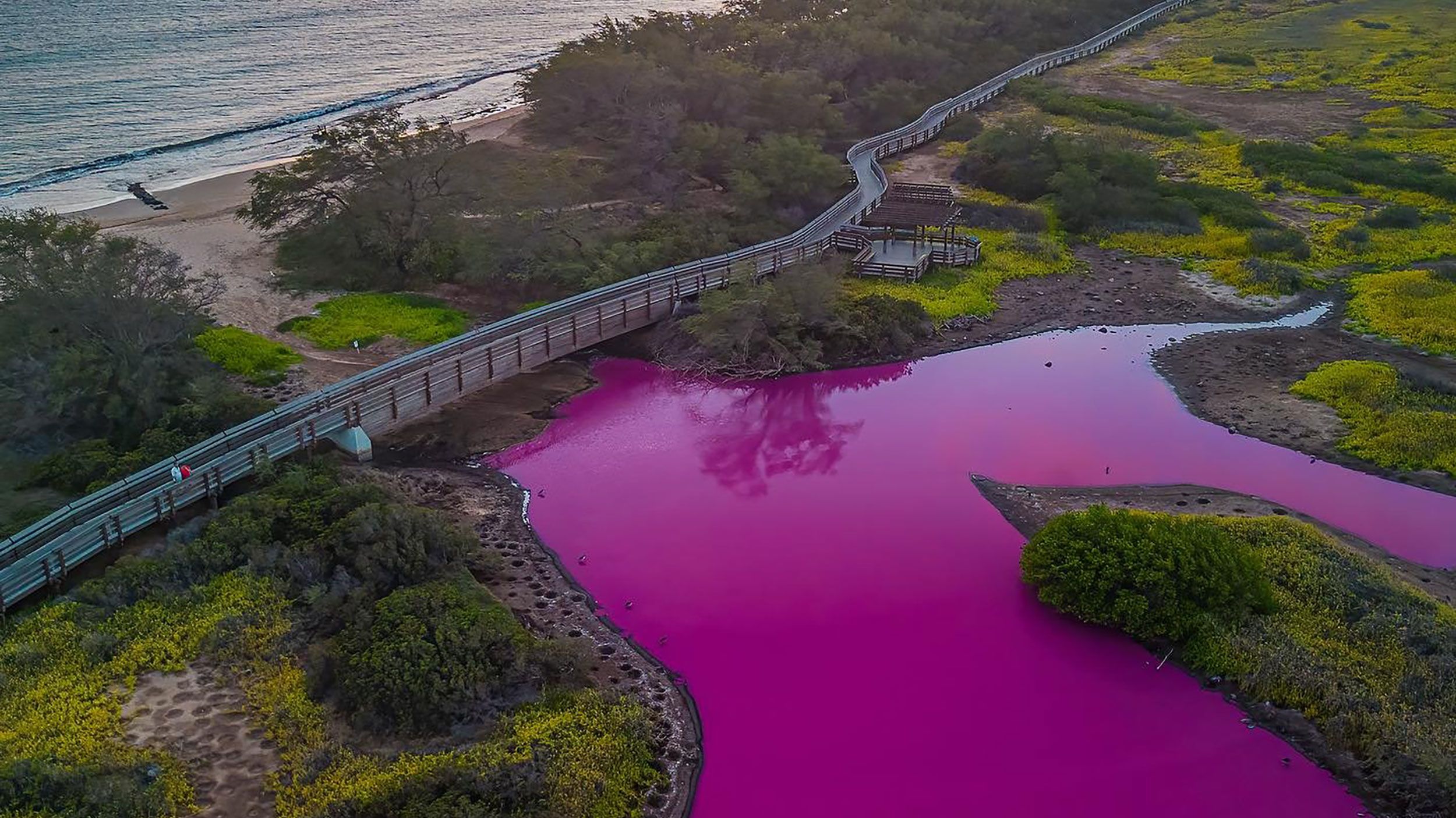 water-at-kealia-pond-in-hawaii-has-turned-pink-amid-drought-cnn