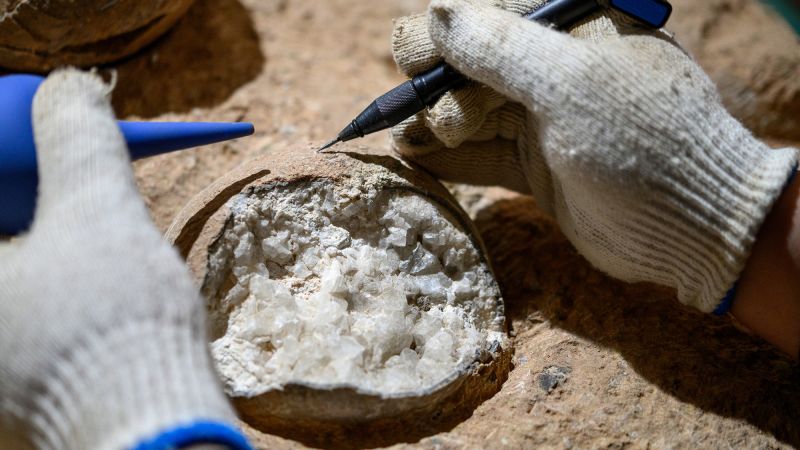 ‘Atomic clock’ method reveals dinosaur eggs to be around 86 million years old