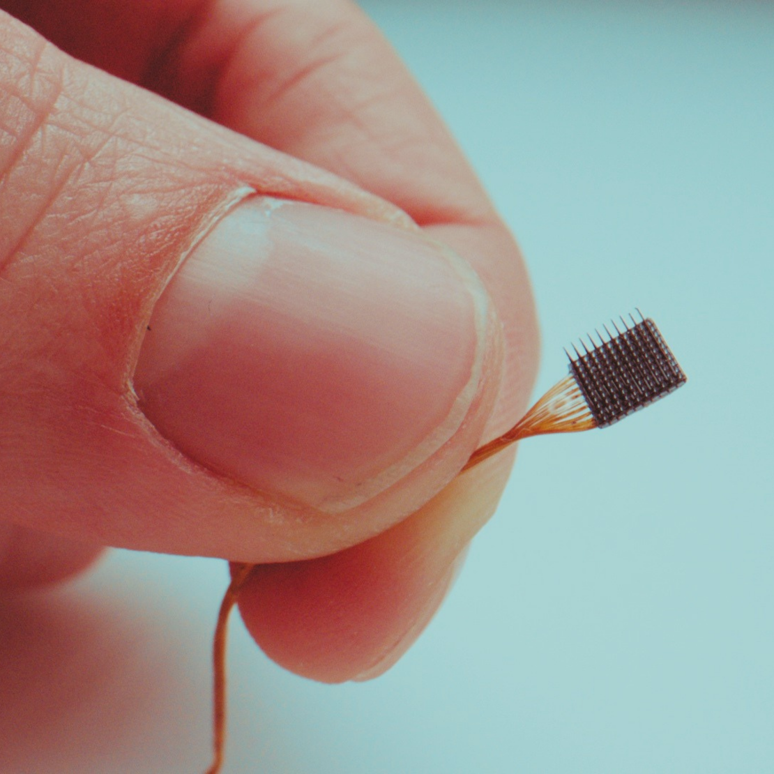 Blackrock Neurotech's Utah Array is an "invasive" BCI — a chip implanted in the brain.