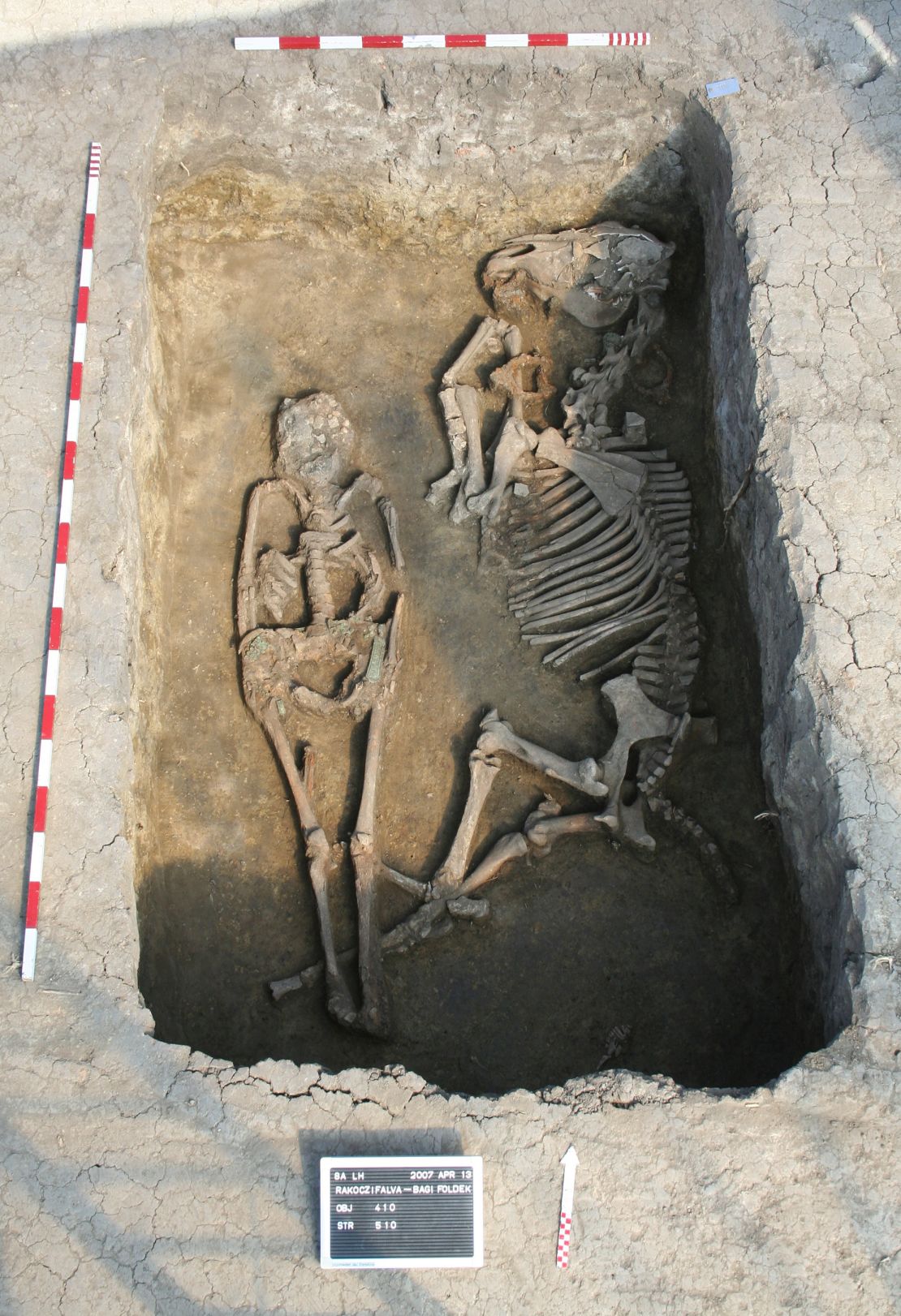 A male who died at a young age was buried with a horse in the eighth century at the Rákóczifalva cemetery.