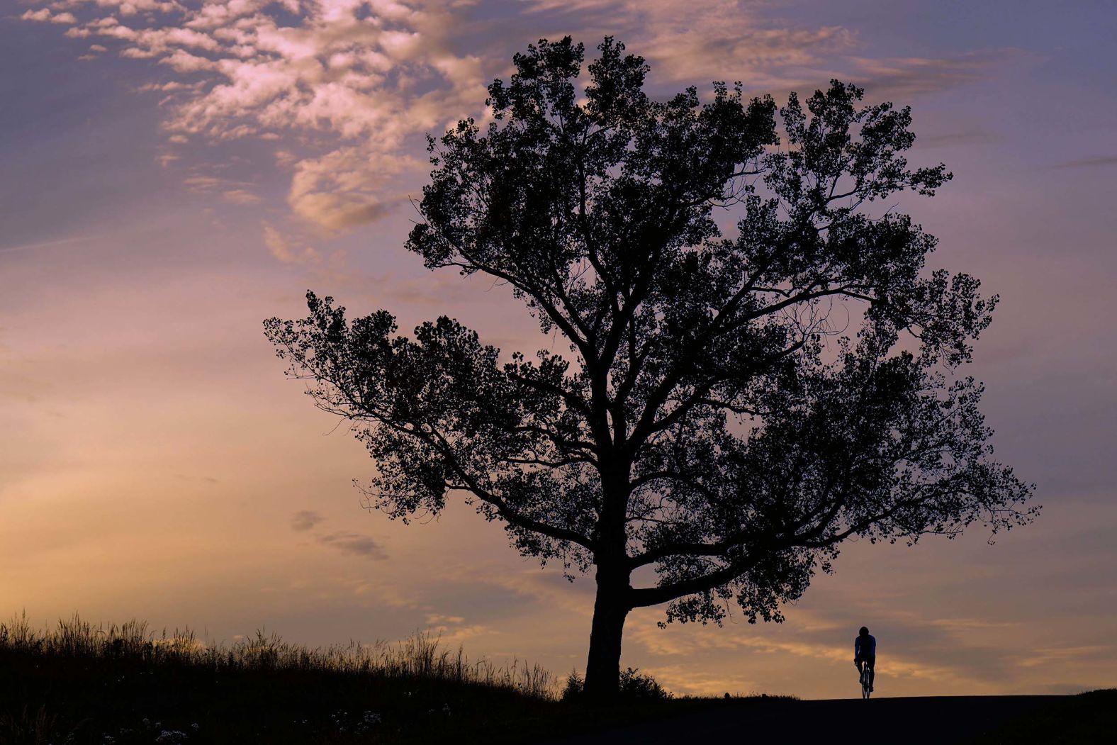 A man rides a bike at sunset in Lenexa, Kansas, on Thursday, October 23. <a href="index.php?page=&url=https%3A%2F%2Fwww.cnn.com%2F2025%2F10%2F23%2Fworld%2Fgallery%2Fphotos-this-week-october-16-october-23">See last week in 30 photos</a>.
