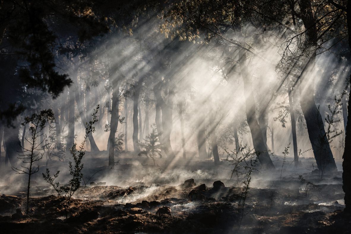 Smoke rises in the undergrowth of a forest during a wildfire on the Greek island of Chios on Monday, June 23.
