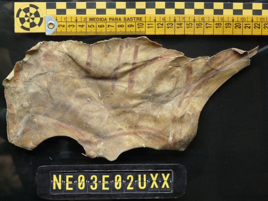 A painted fragment of medieval leather that resembles a mask also was recovered.