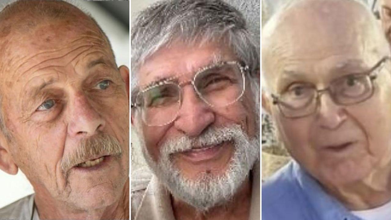  From left to right: Chaim Peri, Yoram Metzger and Amiram Cooper