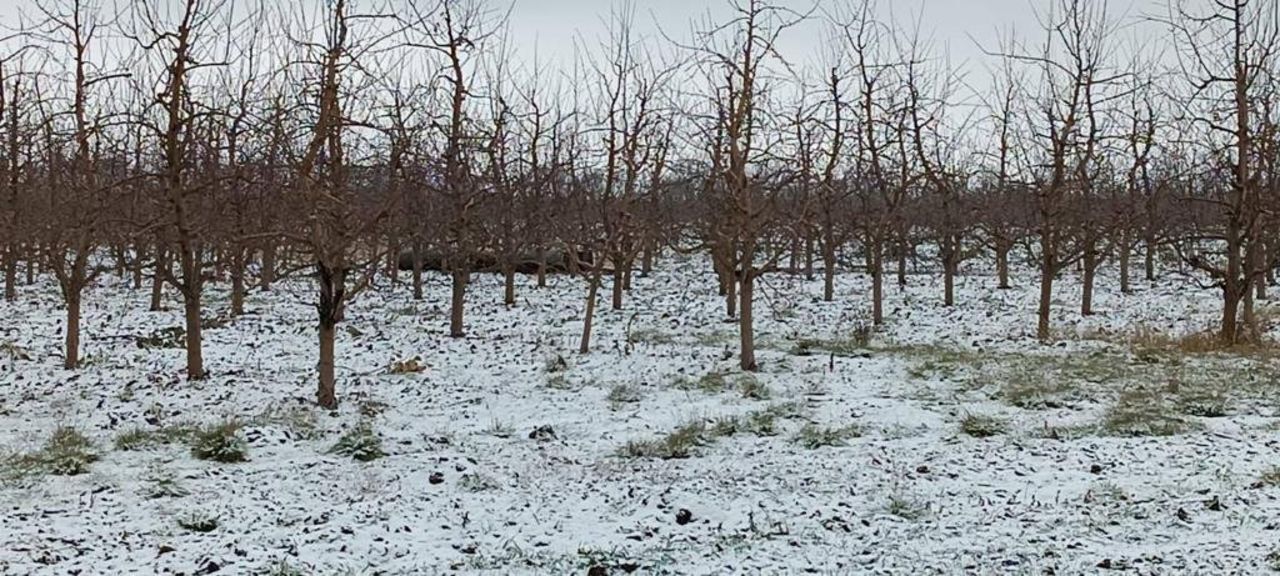 Debris from a missile has been found in Moldova, in a town called Briceni about 3km from the Ukrainian border.