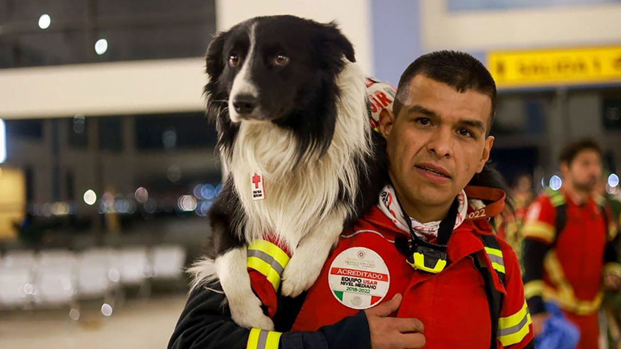 An image tweeted by Mexico's Secretary of Foreign Relations shows a rescue dog and handler as they prepare to assist with rescue operation from the recent earthquake.?