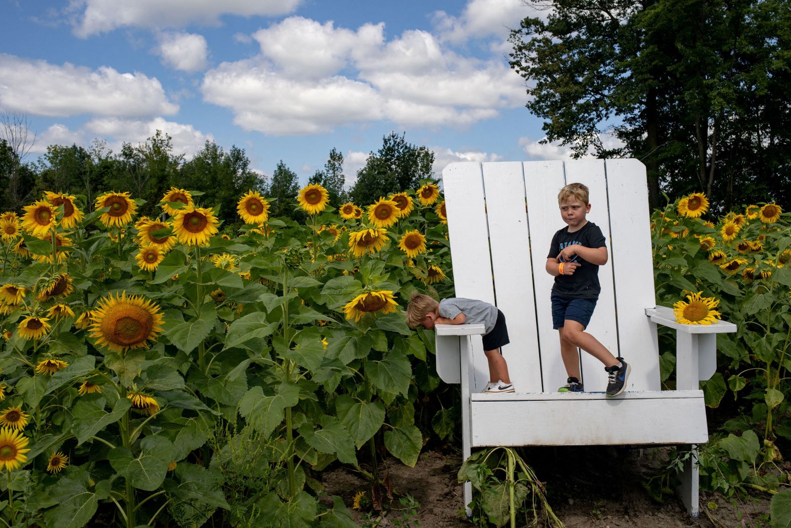 Mikey and Jack Naert play on a giant chair during the Sunflower Festival in Armada, Michigan, on Friday, August 9.