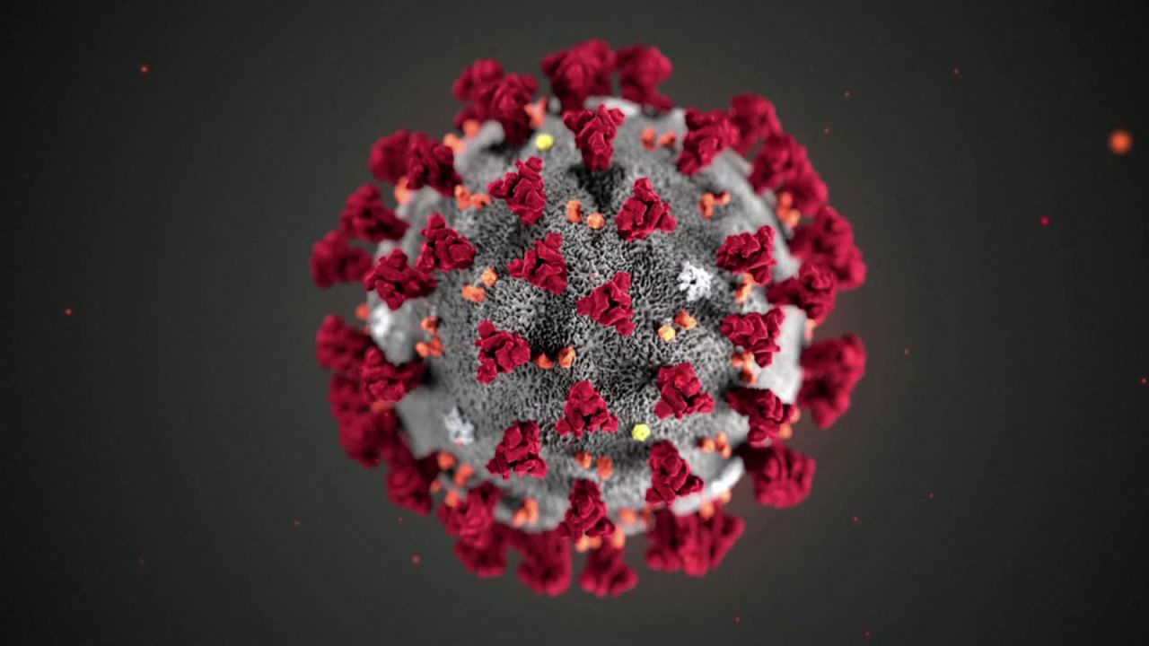 This illustration, created at the Centers for Disease Control and Prevention (CDC), reveals ultrastructural morphology exhibited by coronaviruses. 