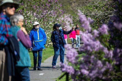 People wear face masks while visiting the Arnold Arboretum in Boston, Massachusetts, on May 6. 
