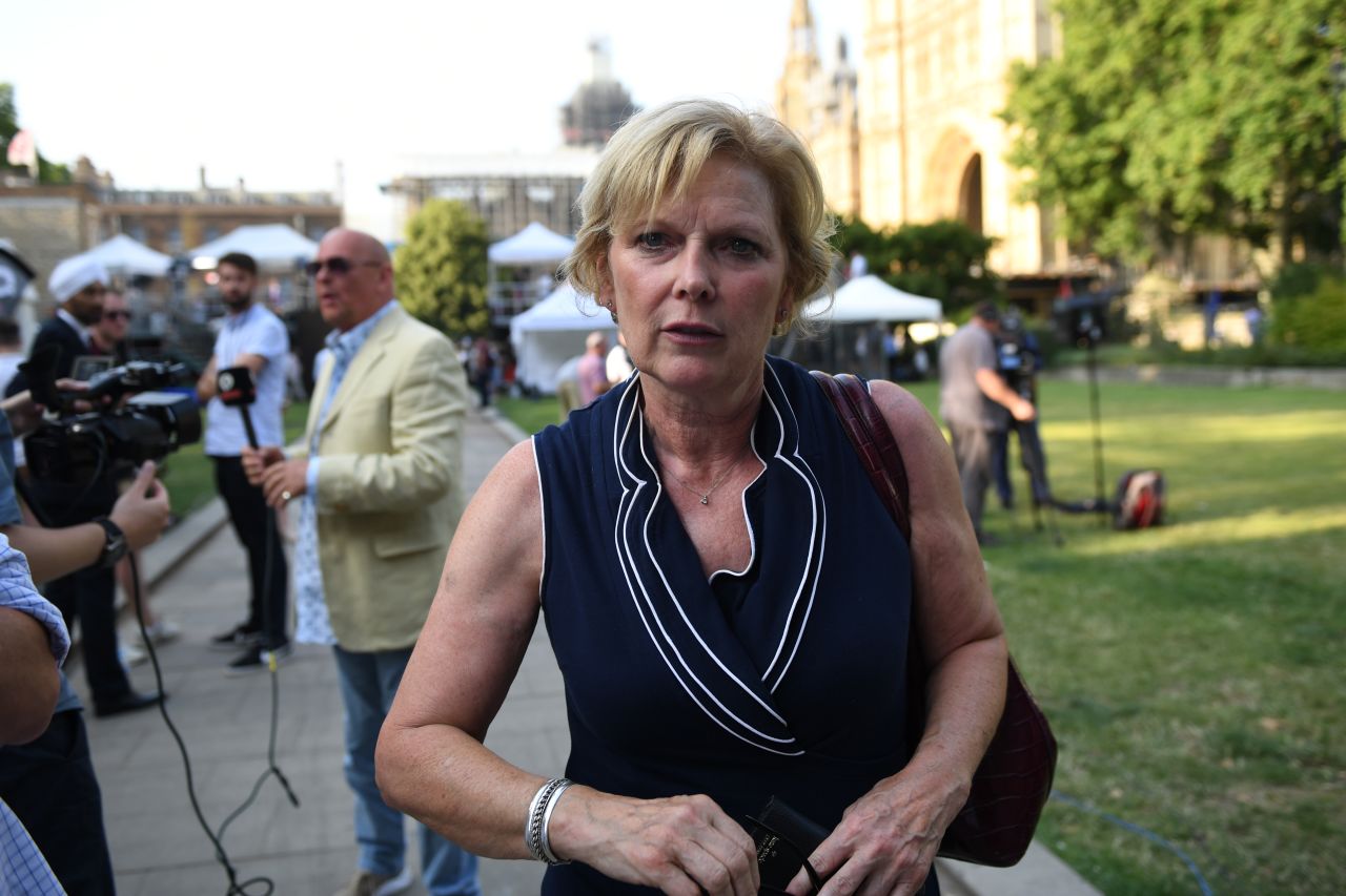 Anna Soubry said she is willing to lose her job over the Brexit vote.