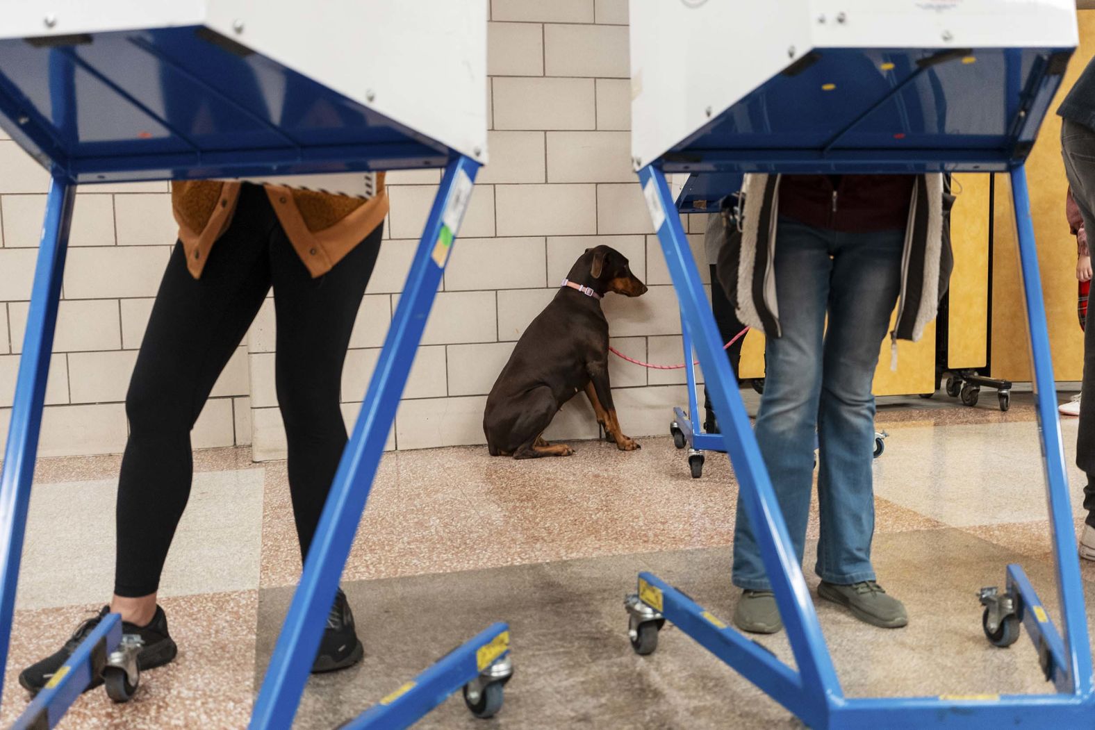 A dog waits as its owner casts a ballot in Brooklyn, New York, on Tuesday, November 4.