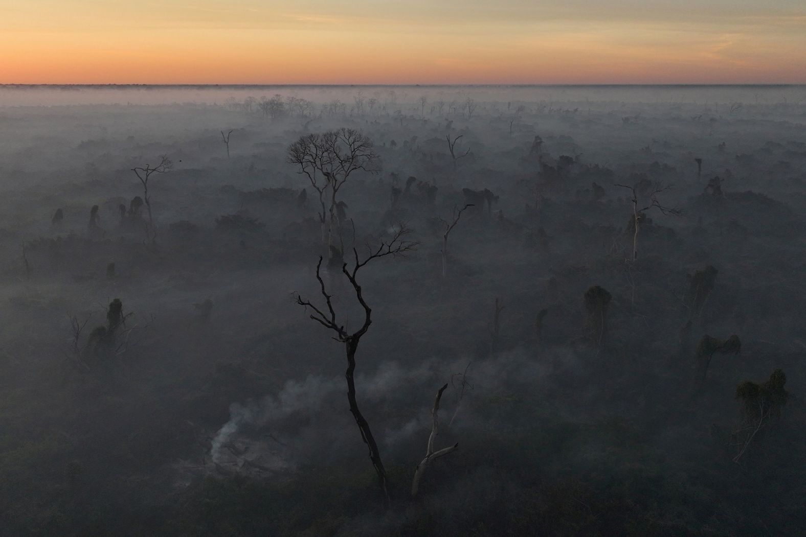 Smoke rises in Corumbá, Brazil, as trees burn from a fire in the Pantanal, the world's largest wetland, on Tuesday, June 11. <a href="http://www.cnn.com/2024/06/06/world/gallery/photos-this-week-may-30-june-6/index.html">See last week in 34 photos</a>.