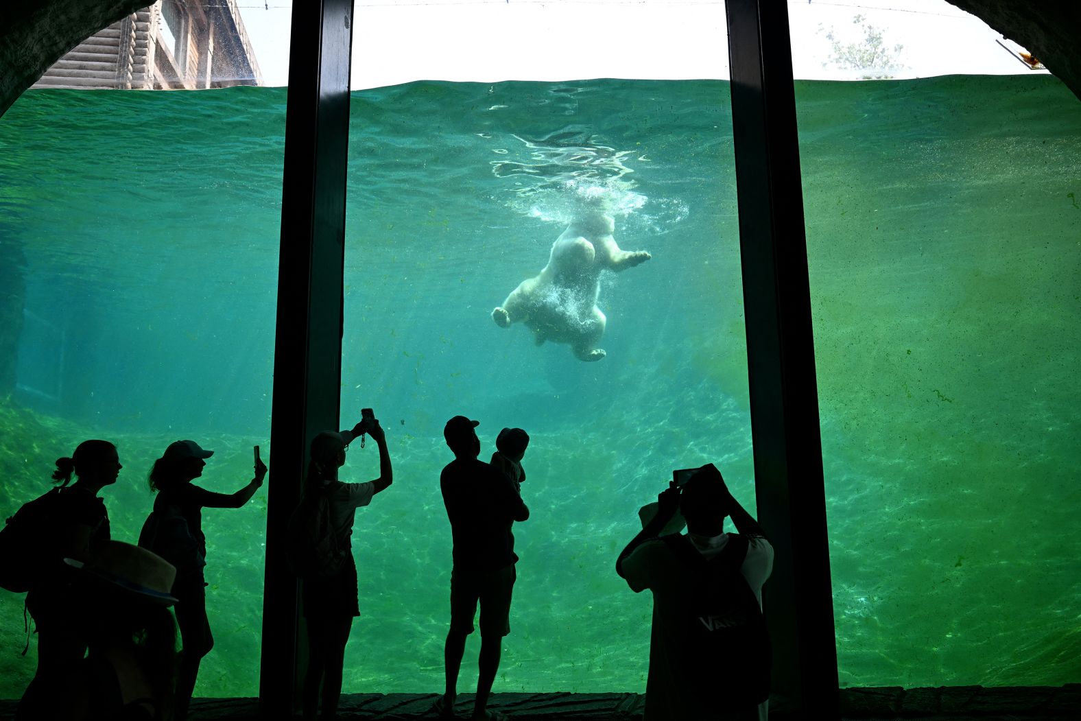 A polar bear cools off at the Pairi Daiza zoo in Brugelette, Belgium, on Wednesday, July 2. <a href="index.php?page=&url=https%3A%2F%2Fwww.cnn.com%2F2025%2F07%2F01%2Fweather%2Feurope-heat-wave-global-warming">A marine heat wave</a> in the Mediterranean Sea is combining with a powerful heat dome to cause Europe to swelter. <a href="index.php?page=&url=https%3A%2F%2Fwww.cnn.com%2F2025%2F06%2F26%2Fworld%2Fgallery%2Fphotos-this-week-june-19-june-26">See last week in 31 photos</a>.