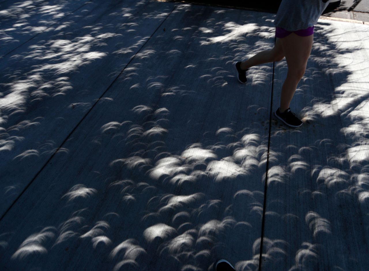 Crescent-shaped shadows are cast on pavement from the leaves of a tree as a partial eclipse as passes over Denver, in August 2017. 