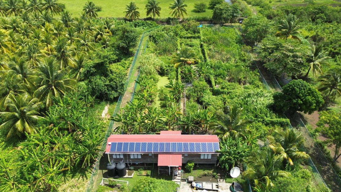 The Holland Bay Crocodile Sanctuary lies on the edge of a wetland, one of the island's last remaining crocodile habitats.