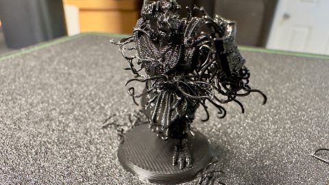 A big mess on the first print