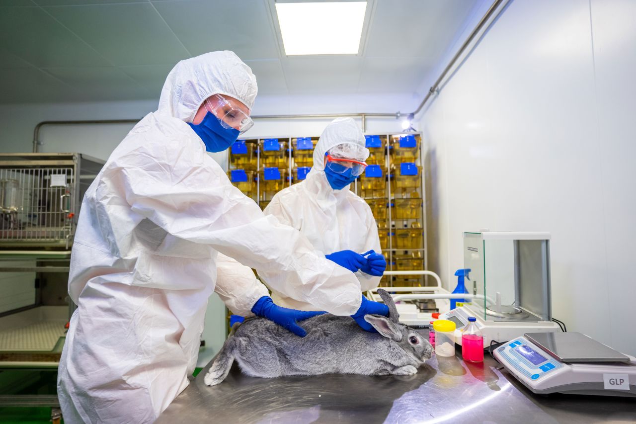 Specialists at the Federal Centre for Animal Health in Vladimir, Russia, give an injection to a rabbit during the development of a Covid-19 vaccine for animals in December 2020.