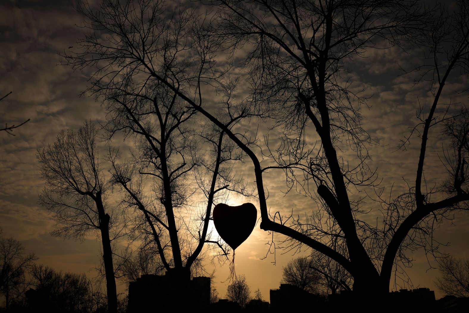 Students hold a heart-shaped balloon in Novi Sad, Serbia, on Sunday, February 2. <a href="https://www.cnn.com/2025/02/02/europe/serbia-protests-novi-sad-belgrade-vucic-intl/index.html">Fifteen people were killed in November</a> when the canopy of a railway station collapsed in Novi Sad. <a href="https://www.cnn.com/2025/01/30/world/gallery/photos-this-week-january-23-january-30/index.html">See last week in 30 photos</a>.