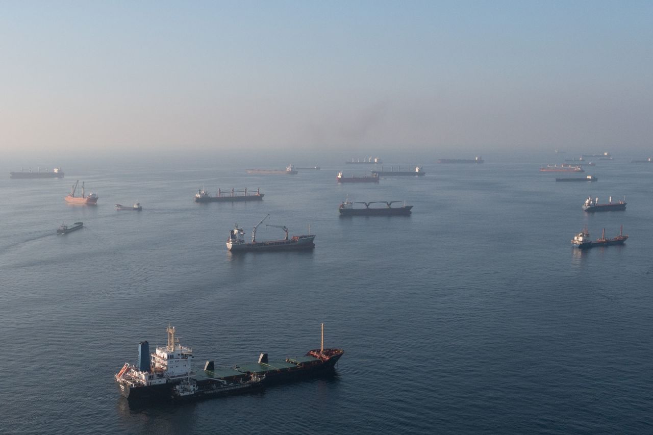 Ships, including those carrying grain from Ukraine and awaiting inspections, are seen anchored off the Istanbul coastline on November 2, in Istanbul, Turkey. 
