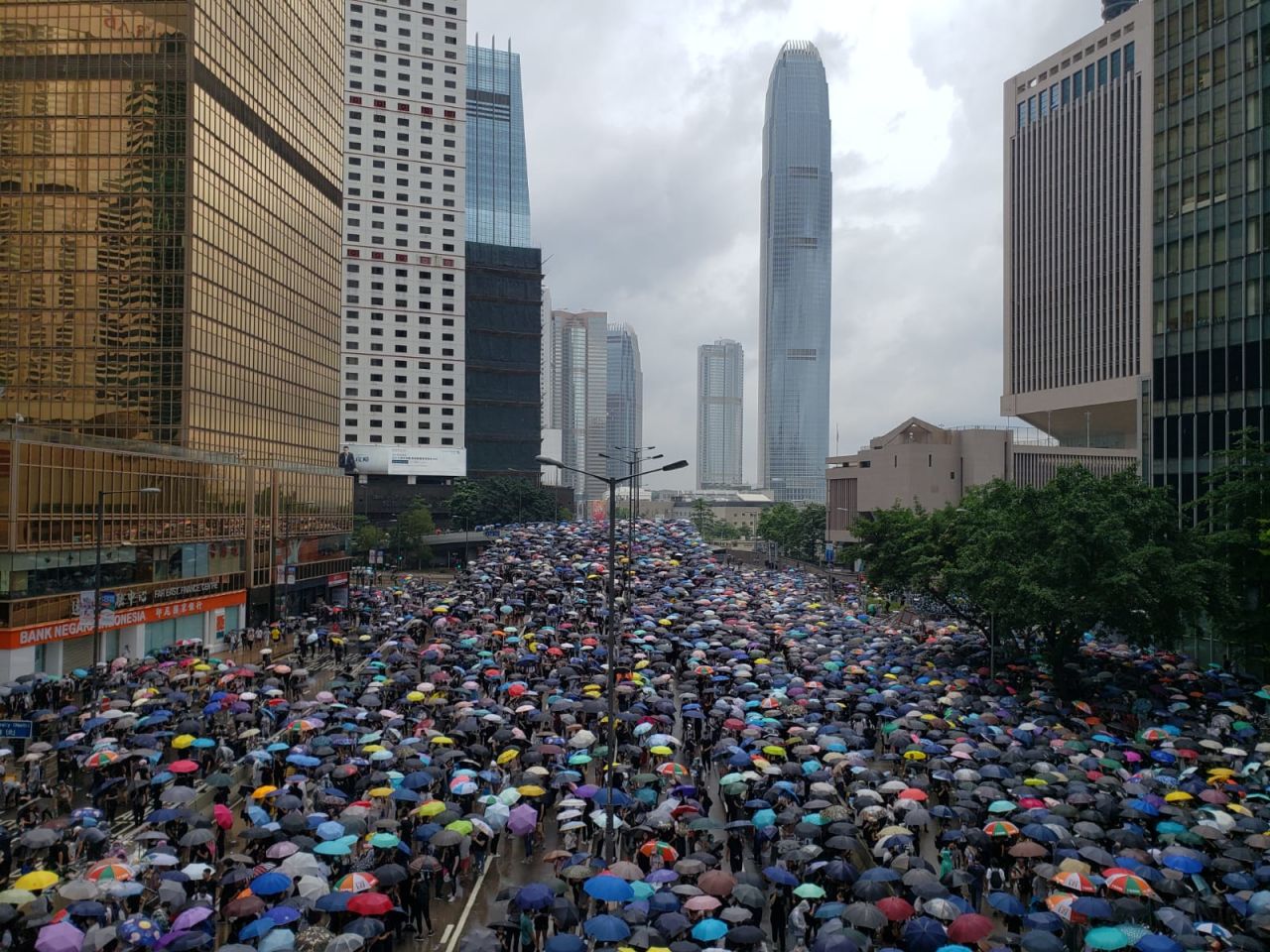 Protesters put up their umbrellas as rain falls in Hong Kong. 