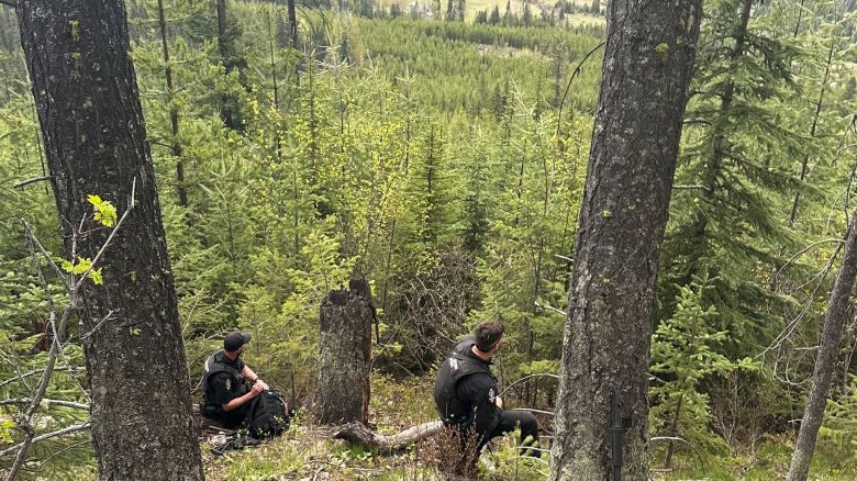 A team of Conservation Officers responded to a report of a bear attack near Elkford, British Columbia, on Thursday, May 16.