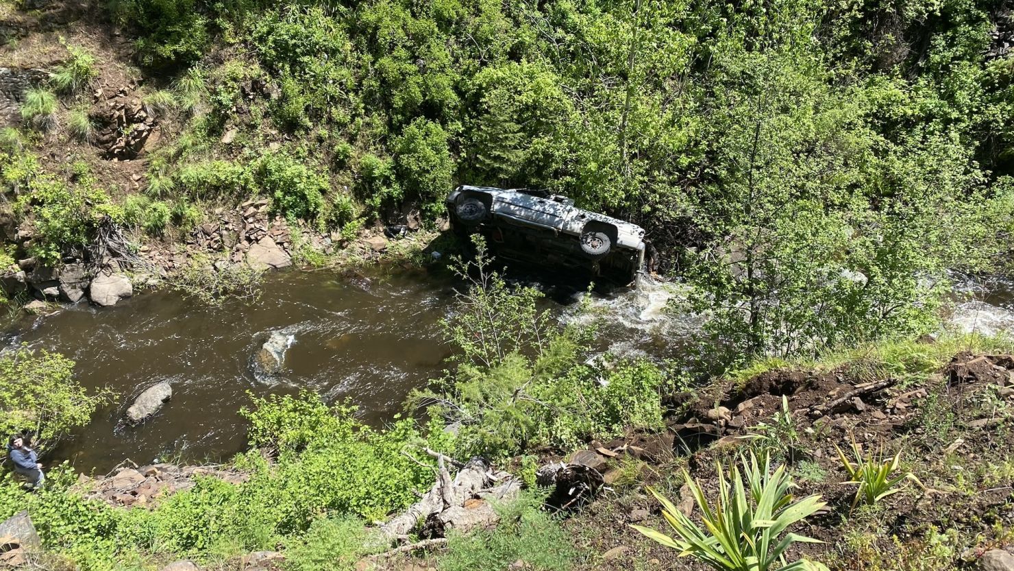 While travelling along a curve, Brandon Garrett's car crashed, leaving him and his dogs stranded in a ravine.