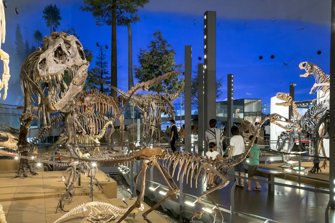 The Fukui Prefectural Dinosaur Museum is the biggest dino museum in Japan.