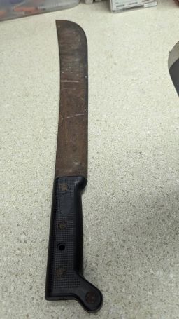 The machete wielded allegedly by Caleb James Williams